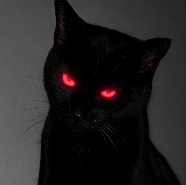 Shadow — black cat with glowing red eyes, dark aura